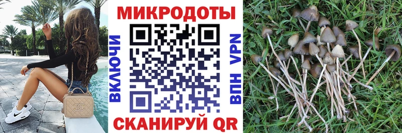 Галлюциногенные грибы MAGIC MUSHROOMS  Купить где  Тайшет 