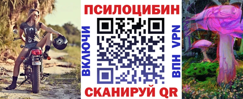 Псилоцибиновые грибы прущие грибы Тайшет